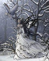 段烨霖许杭如全集阅读